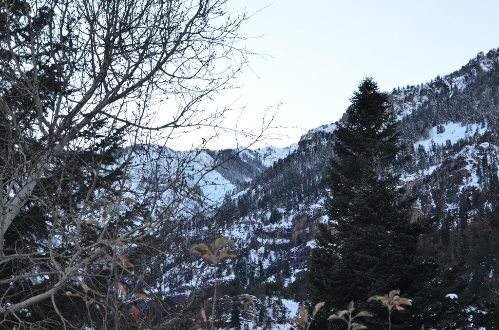 The Ouray Main Street Inn Camera foto